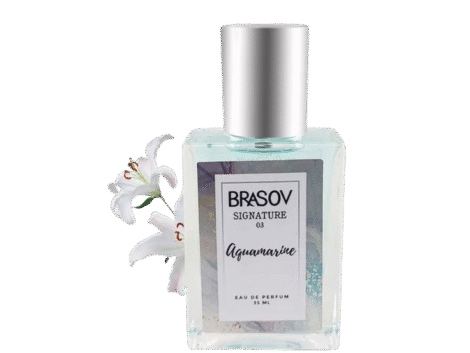 1c21774f-70f8-4c7e-aa68-af8ac2af9655_20250618_201651_0000