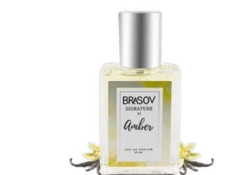 9b9c157e-2fed-4087-90b1-170e8652ead0_20250618_201708_0000